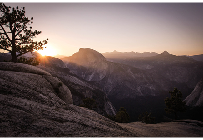 Nature 1