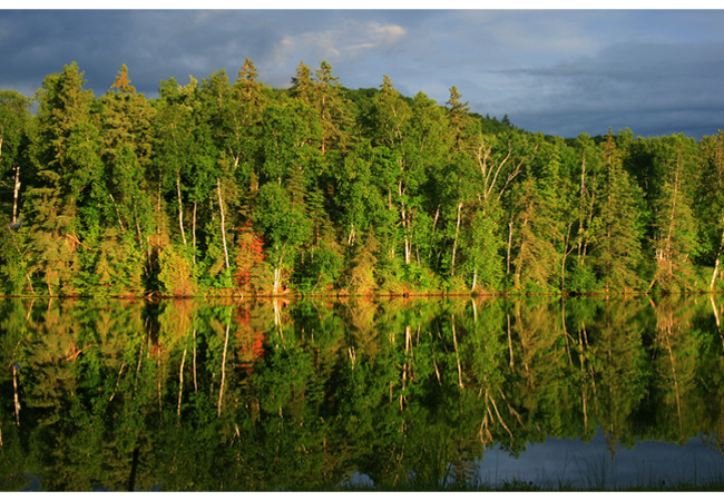 Nature 13