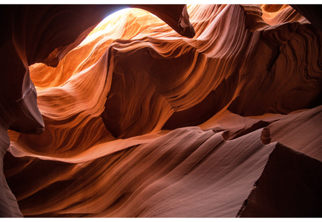 Nature 14