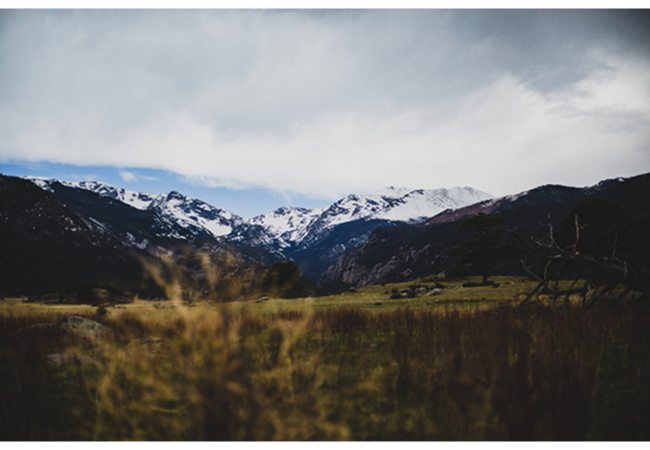 Nature 8