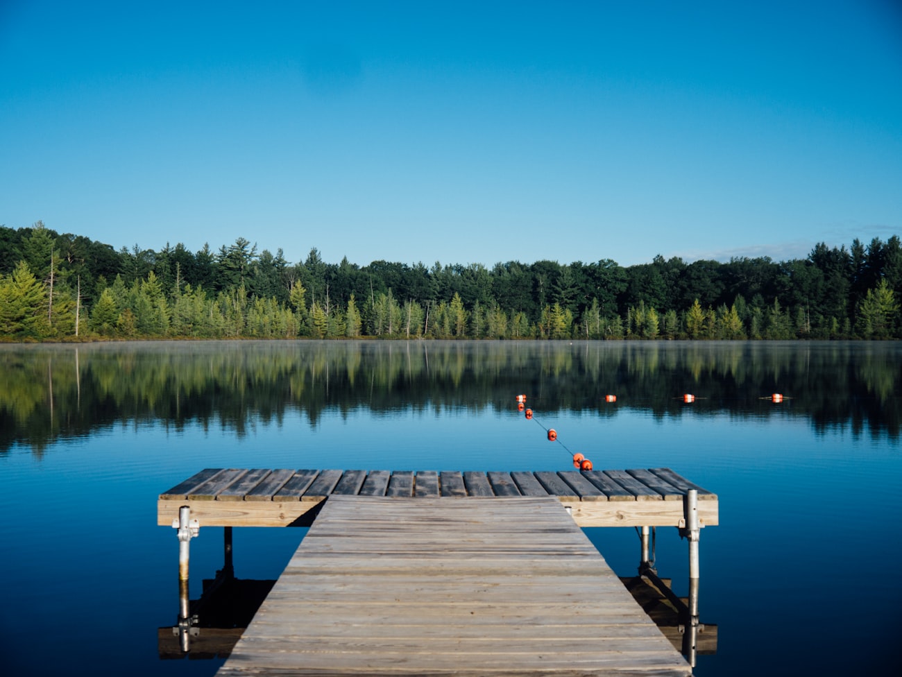 Forest lake